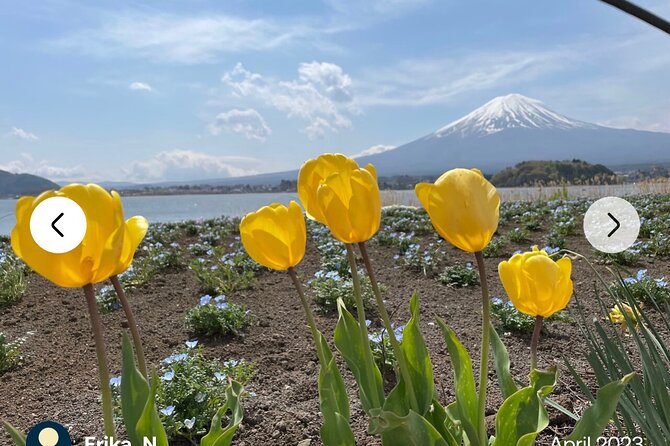 Mt. Fuji, Hakone Full-Day Private Tour With English Driver Guide - Customizable Itinerary Options