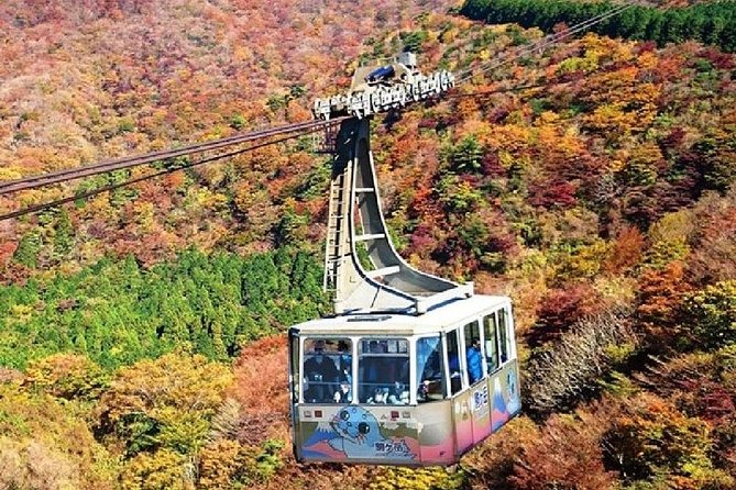 Mt Fuji, Hakone Lake Ashi Cruise Bullet Train Day Trip From Tokyo - Cancellation Policy