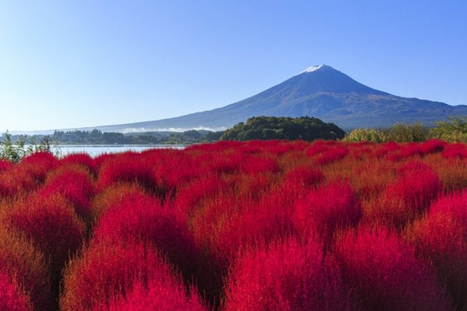 Mt. Fuji, Mt Fuji Panoramic Ropeway & Seasonal Fruits Picking - Transportation Options