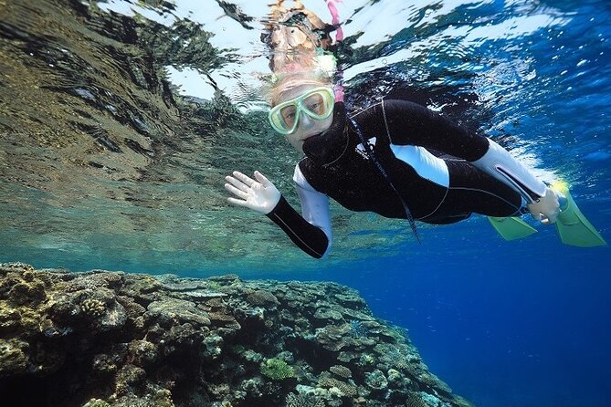 Naha: Full-Day Snorkeling Experience in the Kerama Islands, Okinawa - Health Check List for Reservation