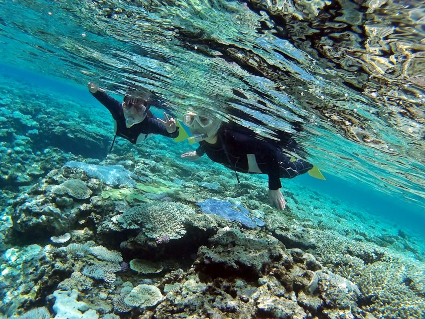 Naha, Okinawa: Keramas Island Snorkeling Day Trip With Lunch - Additional Information