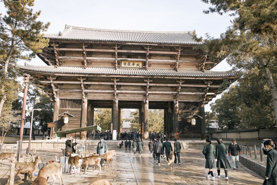 Nara Like a Local: Customized Guided Tour - Sum Up