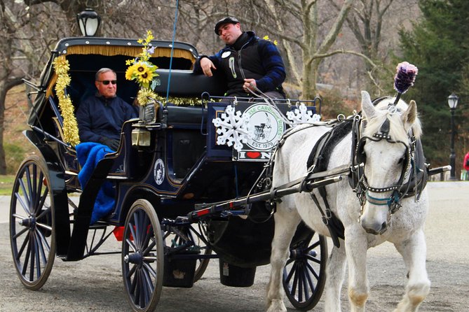 New York City: Central Park Private Horse-and-Carriage Ride - Common questions