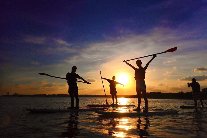 [Okinawa Iriomote] Sunset SUP/Canoe Tour in Iriomote Island - Review and Assistance