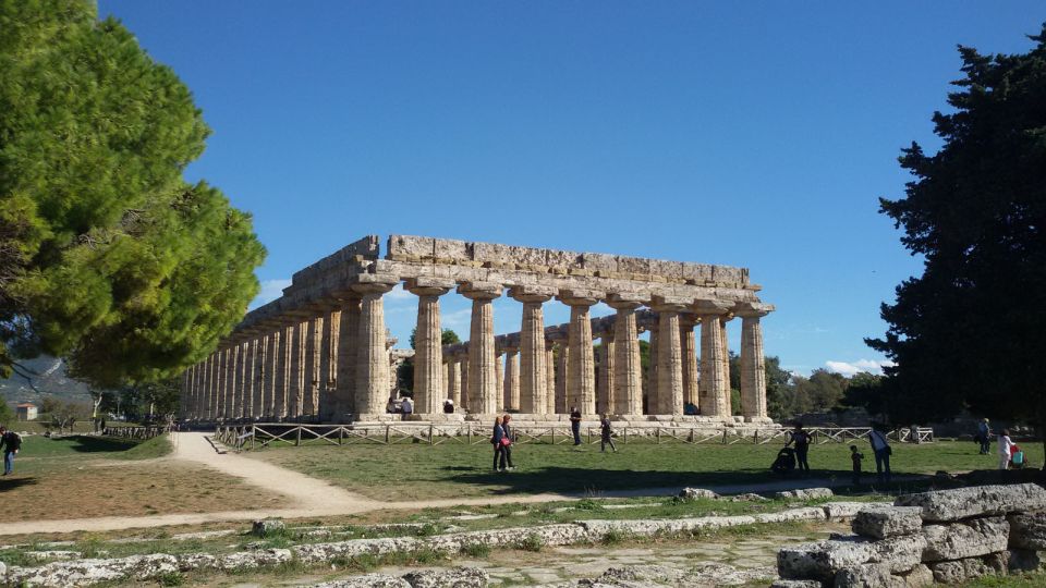 Paestum Tour: Best Preserved Temples in the World (UNESCO) - Archaeological Museum: Tomb of the Diver