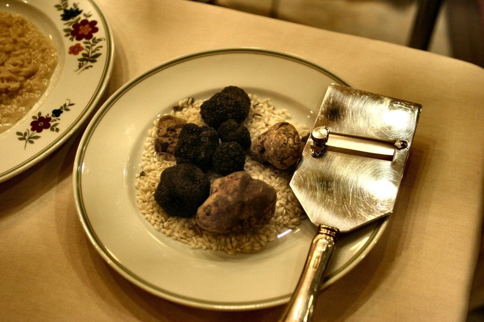Pisa-Truffle Hunt With Final Tasting in Volterra - Common questions