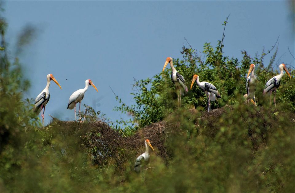 Prek Toal Birds Sanctuary & Floating Village Private Tour - Boat Tour Logistics and Cancellation Policy