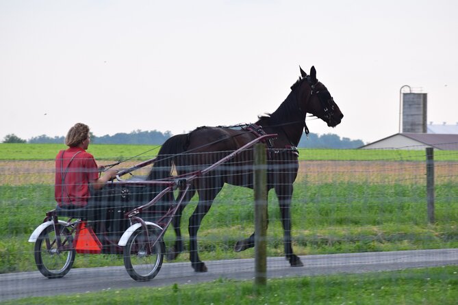 Premium Amish Country Tour Including Amish Farm and House - Countryside Bus Tour