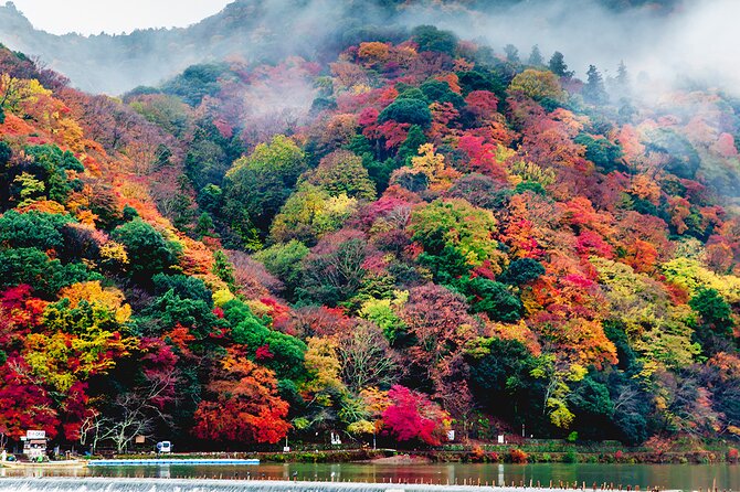 Private Arashiyama Walking Tour: Bamboo, Monkeys & Secrets - Booking Information