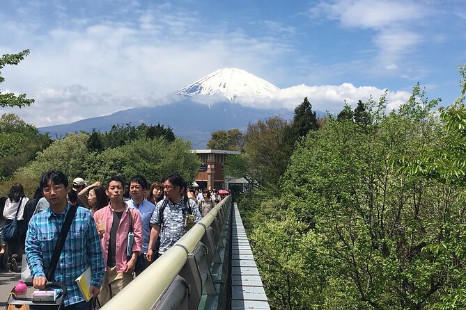 Private Car Mt Fuji and Gotemba Outlet in One Day From Tokyo - Inclusions and Amenities