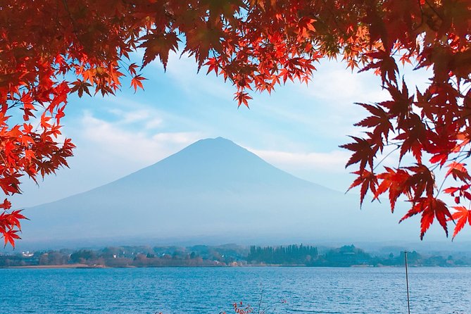 Private Car Tour to Mt. Fuji Lake Kawaguchiko or Hakone Lake Ashi - Logistics and Accessibility