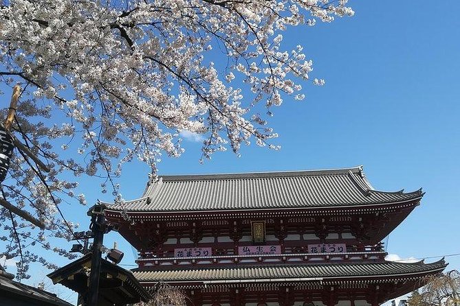 Private Full-Day Cherry-Blossom Tour of Tokyo With Tsukiji - Common questions