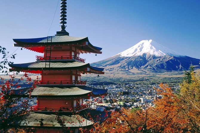 Private Transport Mt Fuji and Hakone 1 Day Trip - Traveler Photos and Reviews