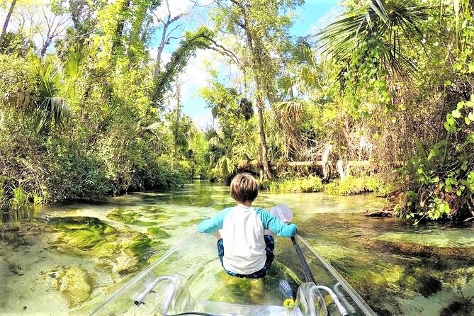 Rock Springs 2-Hour Glass Bottom Guided Kayak Eco Tour - Weather Contingency and Refund Policy