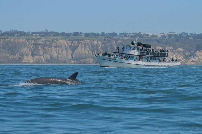 San Diego Whale Watching Tour - Common questions