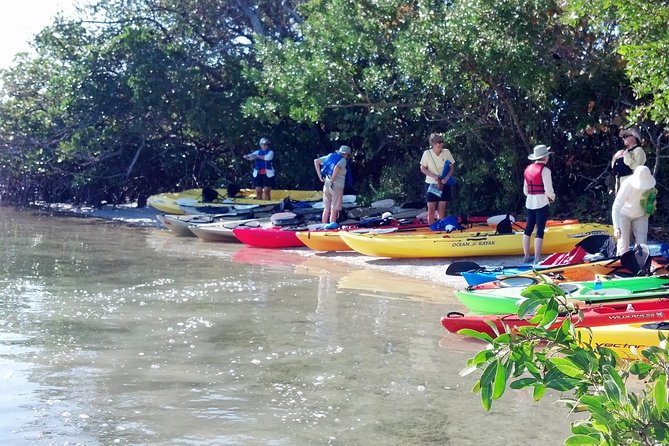 Sarasota Guided Mangrove Tunnel Kayak Tour - Common questions