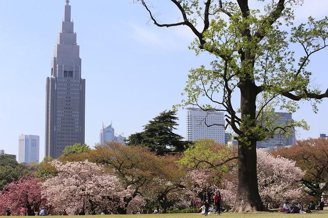 Shared Departure Transfer : Central Tokyo Hotel to Haneda Airport - Sum Up