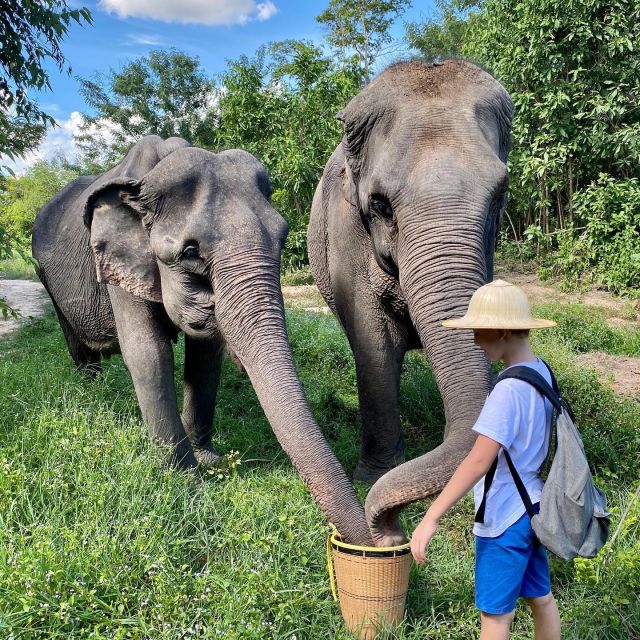 Siem Reap: Kulen Elephant Forest & Tonlesap Lake - Tour Inclusions