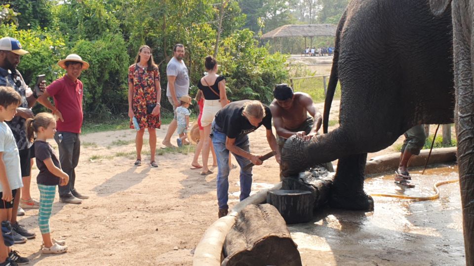 Siem Reap: Small Group Tour of Kulen Elephant Forest - Additional Information