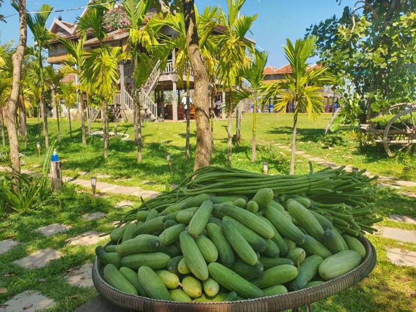 Siem Reap Sunset Dinner Tour at Rice Paddy Fields - Overall Experience