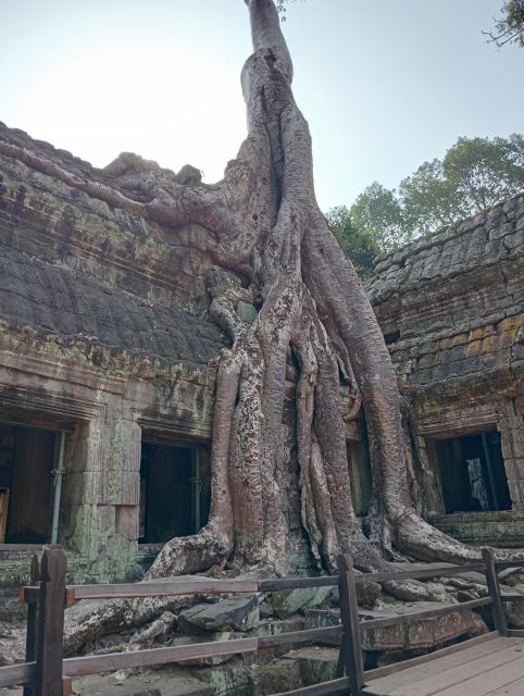 Siem Reap: Visit Angkor With a Guide Who Speaks Portuguese - Location Details for Siem Reap Tour