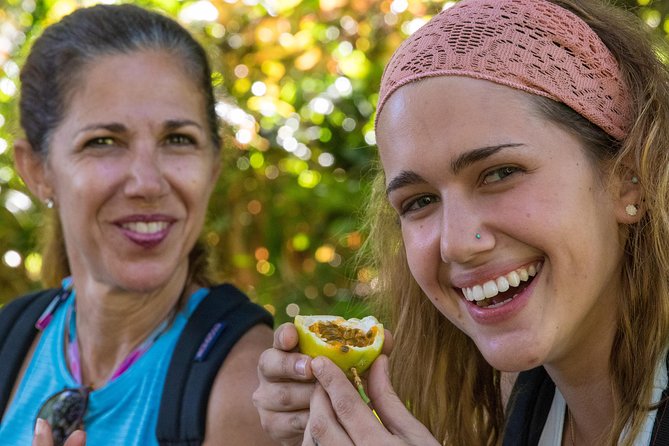 Small Group Waterfall and Rainforest Hiking Adventure on Maui - Sum Up