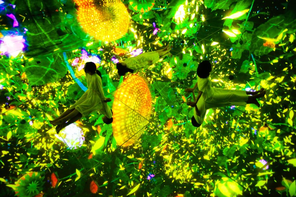 Teamlab Planets TOKYO: Digital Art Museum Entrance Ticket - Additional Information