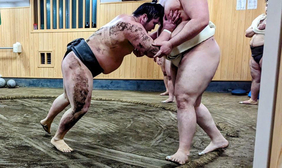 Tokyo: Morning Sumo Practice Viewing - Customer Reviews