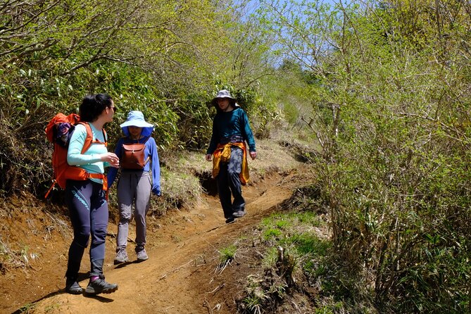 Traverse Outer Rim of Hakone Caldera and Enjoy Onsen Hiking Tour - Customer Reviews