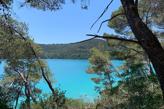 Visit Magical Mljet Island With Private Speedboat - Return Trip to Dubrovnik