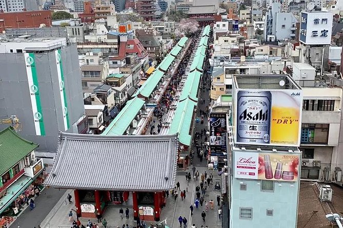 1 Day Private Charter Tokyo Sight Seeing Tour With Guide - Sum Up