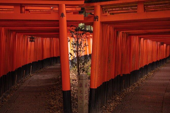 10 Must-See Spots in Kyoto One Day Private Tour (Up to 7 People) - Nijo Castle