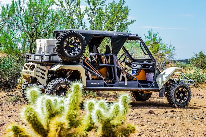 3 Hour Guided TomCar ATV Tour in Sonoran Desert - Bottled Water Provision