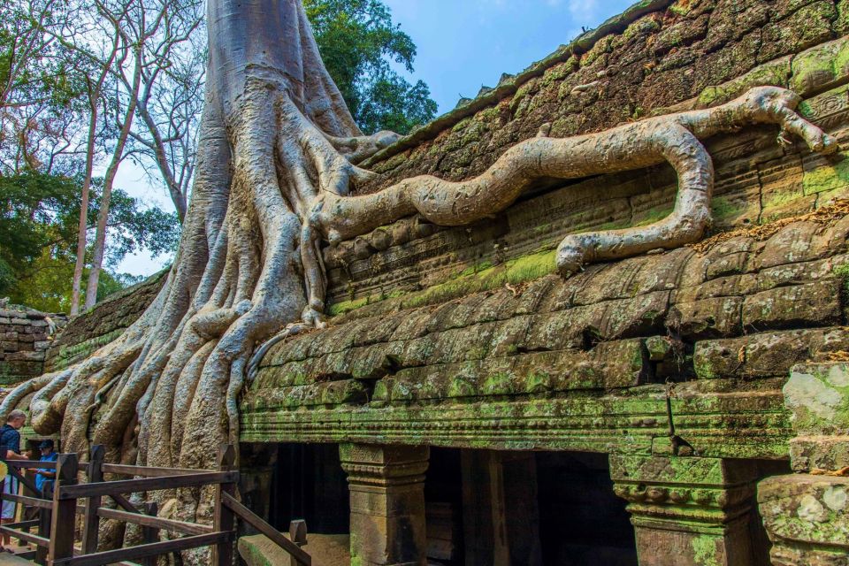 Angkor Wat Sunrise, Ta Promh, Banteay Srei, Bayon Day Tour - Tour Booking Details