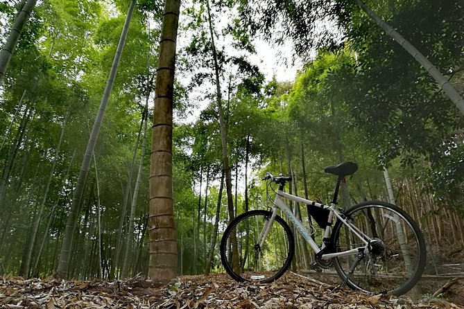 Arashiyama Bamboo Bike Tour (Early Bird) - Guide Experience