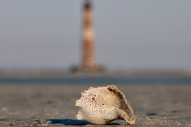 Charleston Marsh Eco Boat Cruise With Stop at Morris Island Lighthouse - Customer Recommendations