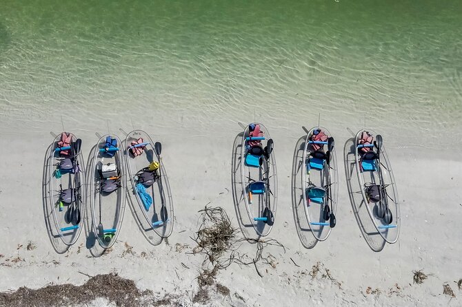 Clear Kayak Tour of Shell Key Preserve and Tampa Bay Area - Tour Pricing and Availability