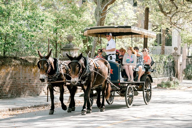 Daytime Horse-Drawn Carriage Sightseeing Tour of Historic Charleston - Directions