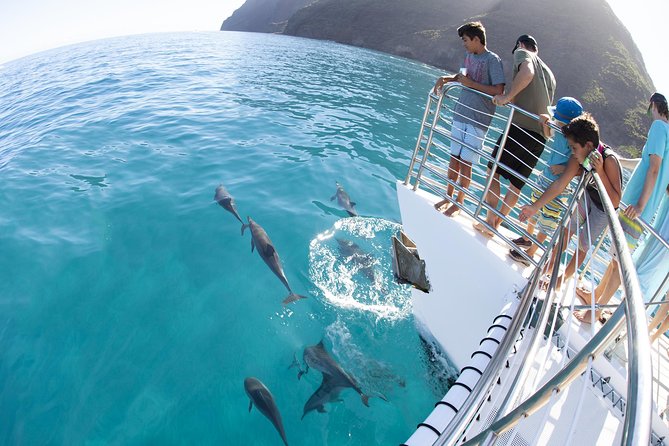 Deluxe Na Pali Morning Snorkel Tour on the Lucky Lady - Recommendations and Adaptability