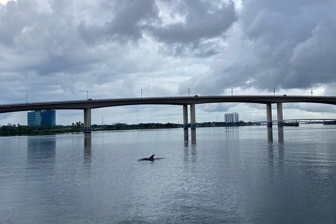 Dolphin and Manatee Stand Up Paddleboard Tour in Daytona Beach - Pricing and Booking Details