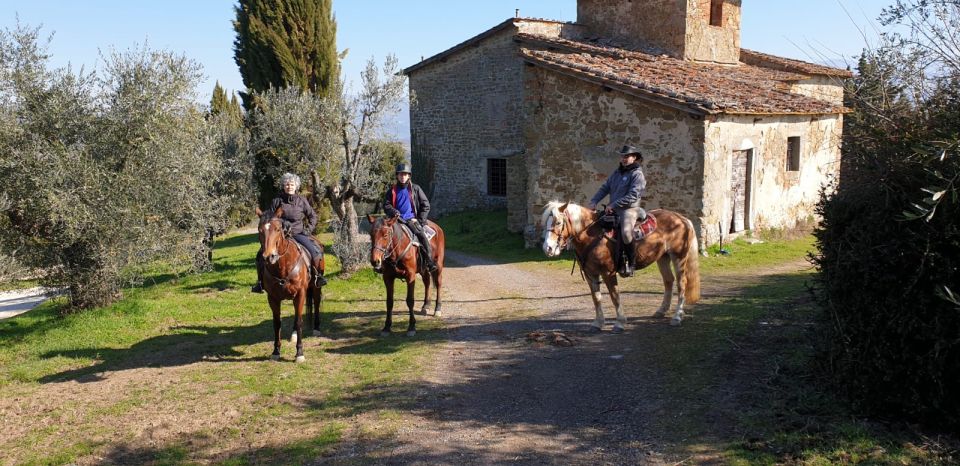 From Florence: Horse Ride and Wine Tour at Estate With Lunch - Background