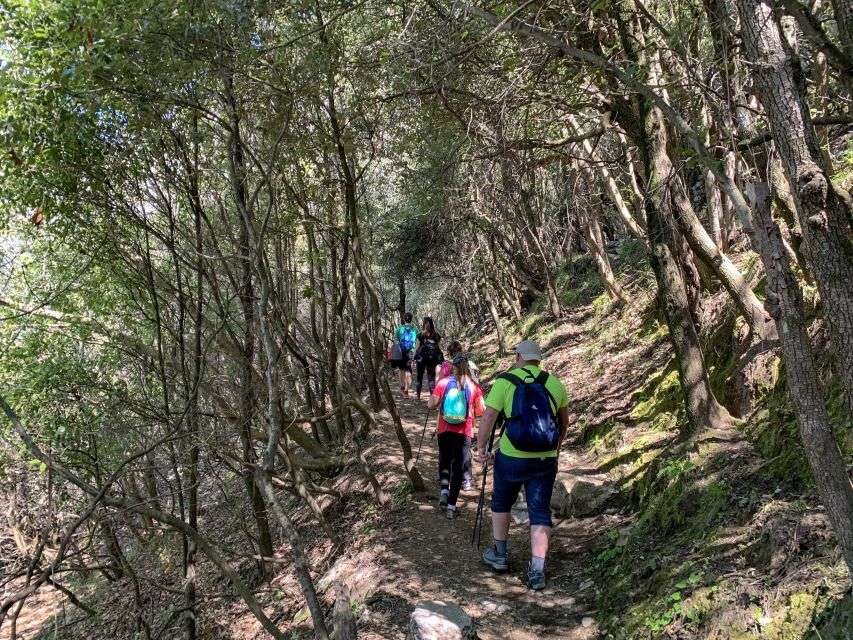 From Sorrento: Path of the Gods Hiking Experience - Meeting Point Information