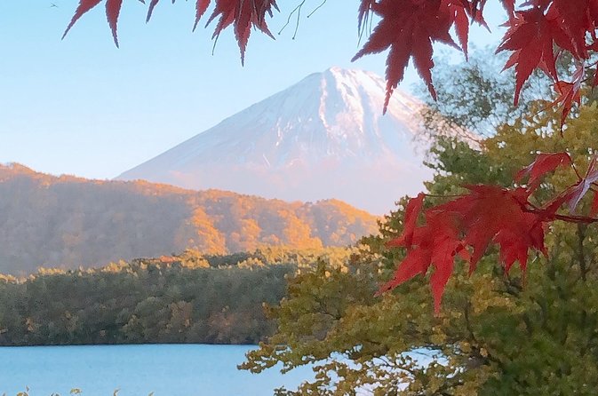 Full Day Private Fuji Tour With English Driver & Muslim Friendly - Additional Tour Information