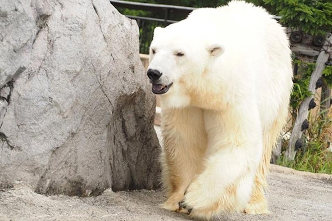 Hokkaido Highlights of Flower Blossom, Asahiyama Zoo & Blue Pond "Aoi-ike"! - Lunch Options at Asahiyama Zoo