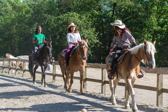 Horseback-Riding in a Country Side in Sapporo - Private Transfer Is Included - Traveler Reviews Summary