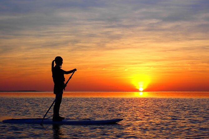 [Ishigaki] Sunset Sup/Canoe Tour - Contact and Support Details
