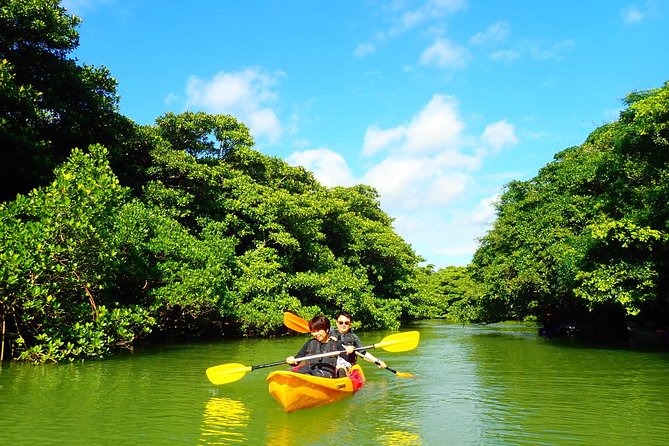 [Ishigaki]Mangrove SUP/Canoe Blue Cave Snorkeling - Sum Up