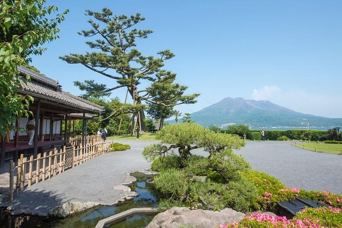 Kagoshima Full-Day Private Tour With Government-Licensed Guide - Highlights and Recommendations