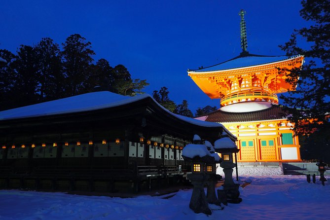 Koyasan Full-Day Private Tour - Booking Details