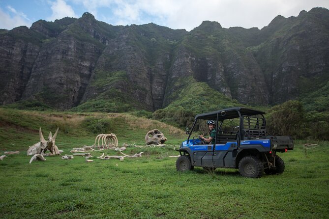 Kualoa Ranch UTV Raptor Tour - Customer Reviews and Recommendations